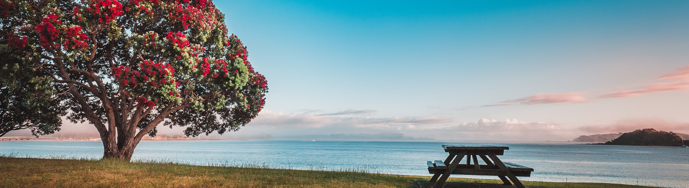 MacDonald Wealth Summer Update